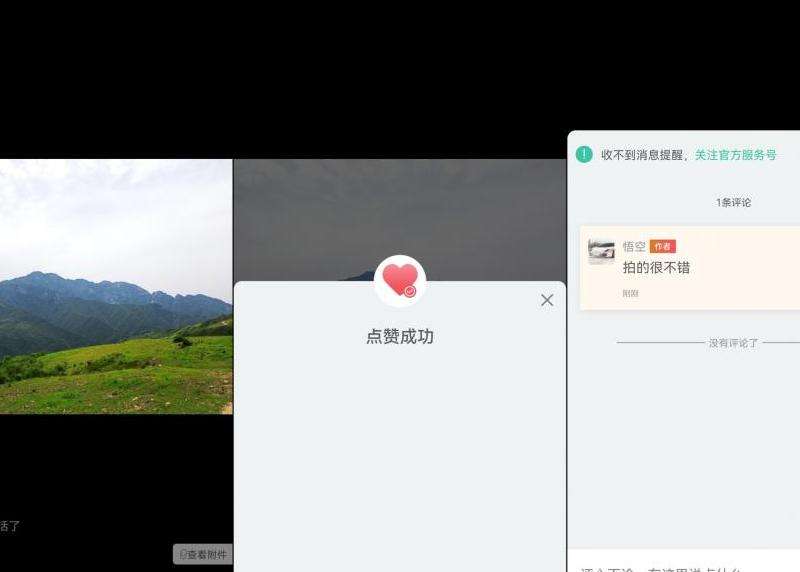 如何查看Ins上点赞的所有用户