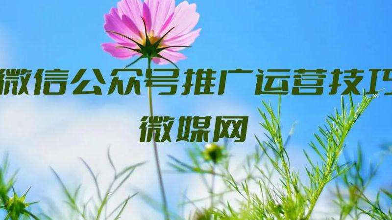 如何有效吸引INS粉丝